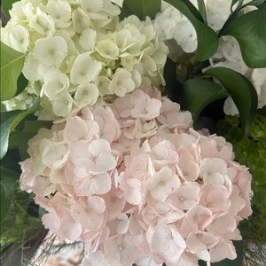 Meet your Posher, Kori